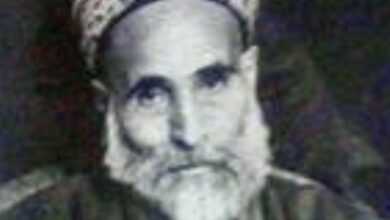 الشيخ طاهر الجزائري