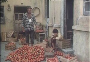 فيلم ليالي ابن آوى سنة 1989.